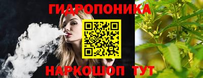 индика Краснокаменск