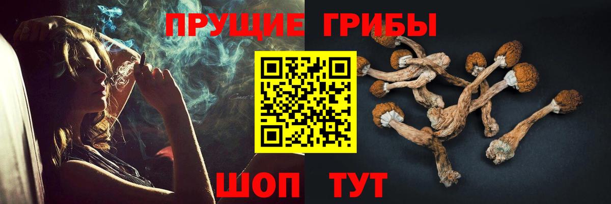 Псилоцибиновые грибы Psilocybe  Вход с VPN  Сухой Лог  где найти   Псилоцибиновые грибы ЛСД 